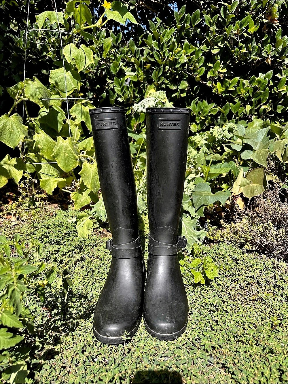 Hunter Refined Tall Rain Boot / Black